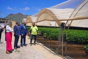 El vicepresidente del Gobierno de Canarias visita el municipio de Valsequillo/Acfi Press.